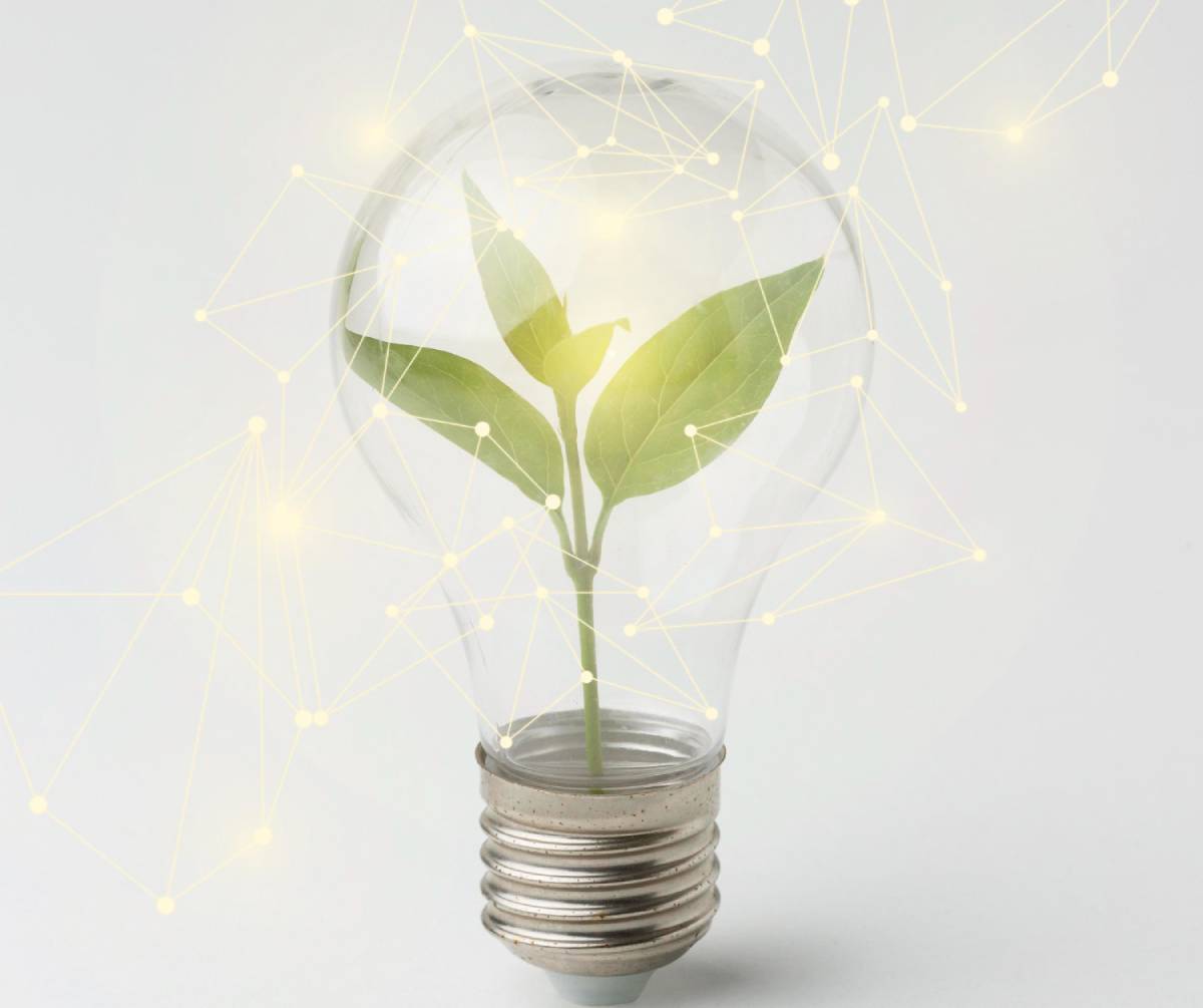 Power Audits Service: Power Audits